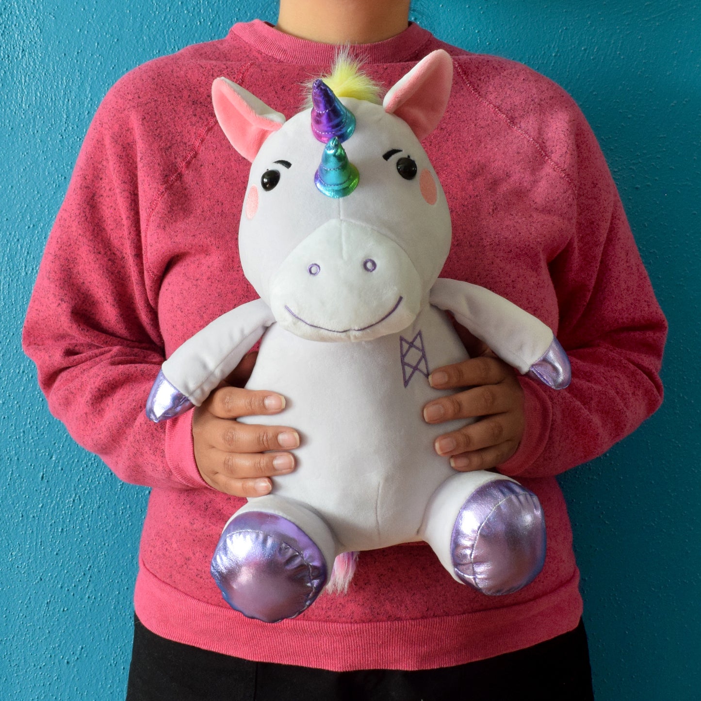 A figure wearing pink holding a stuffed animal against a blue wall. The stuffed animal is a Garyl plushie with a purple body, pink cheeks, two shiny rainbow horns, shiny purple hooves, and a bright rainbow faux fur mane and tail. 